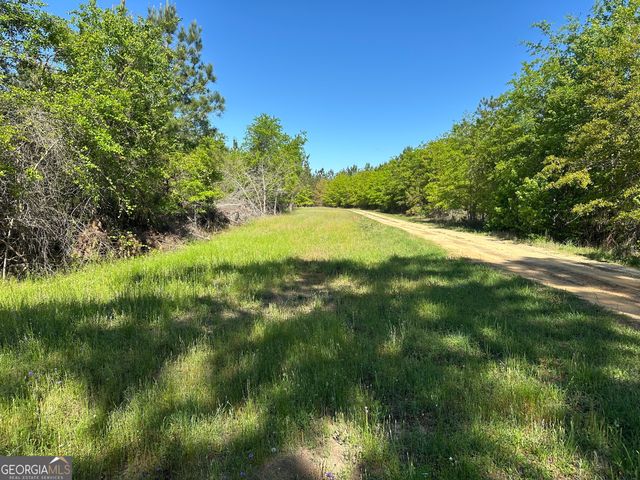 208 Oak Grove Lane, Sylvania, GA 30467