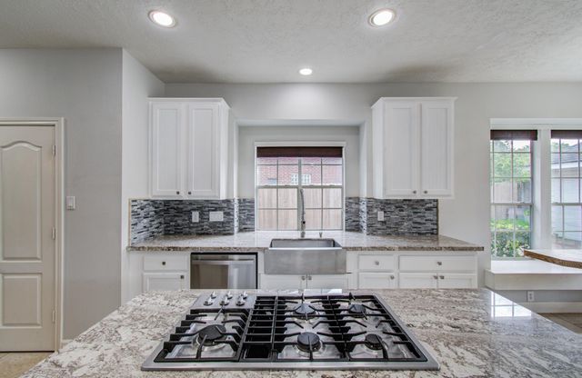 1311 Hopkins Park Drive, Houston, TX 77094