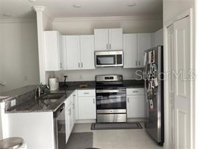 17522 NECTAR FLUME DRIVE, Land O Lakes, FL 34638
