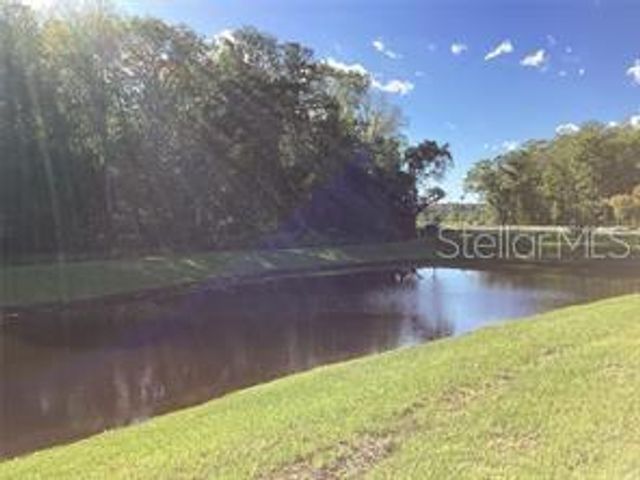 17522 NECTAR FLUME DRIVE, Land O Lakes, FL 34638