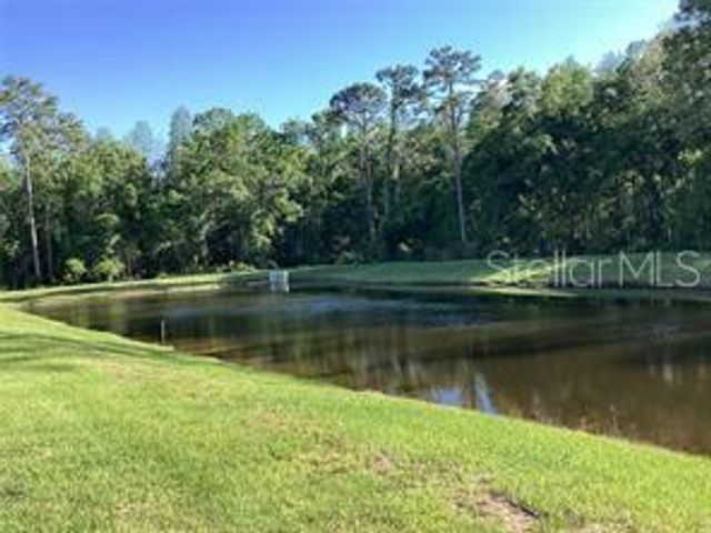 17522 NECTAR FLUME DRIVE, Land O Lakes, FL 34638