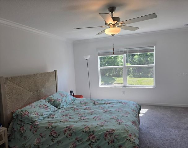 17522 NECTAR FLUME DRIVE, Land O Lakes, FL 34638