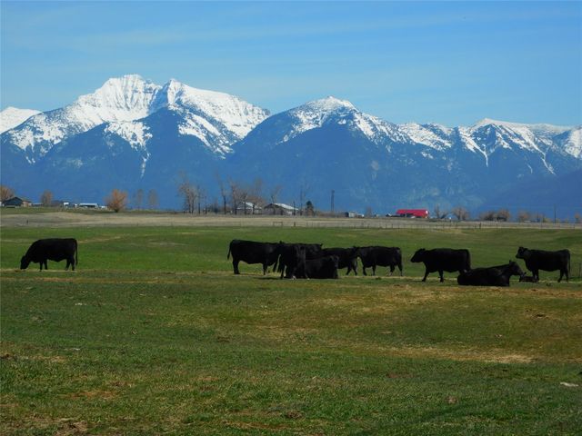 NHN Hwy 212, Charlo, MT 59824