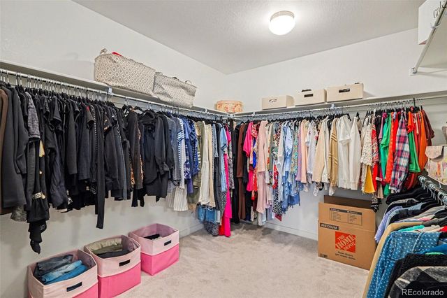 8420 Bijou Creek Avenue, Littleton, CO 80125