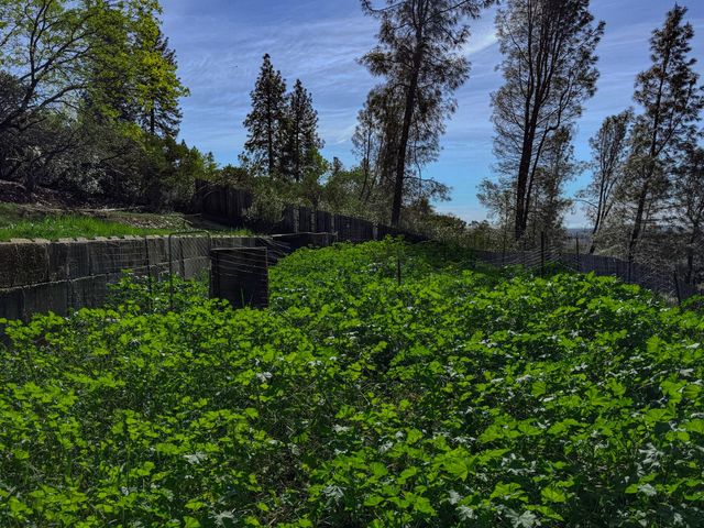 12941 Wild Rose Ct, Penn Valley, CA 95946