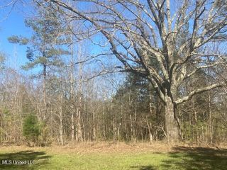 0 Hogan Road, Mount Pleasant, MS 38635