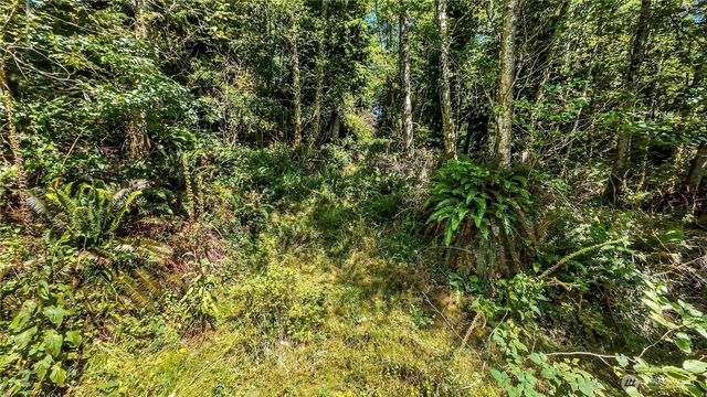 5001 Fourth Avenue SW, Ilwaco, WA 98624