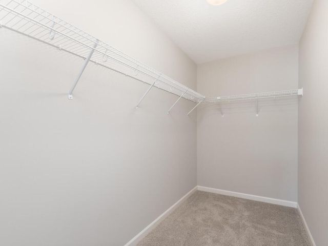 2127 River Bend Trail, Mayer, MN 55360