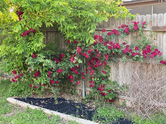 12106 Grey Fawn PATH, Austin, TX 78750