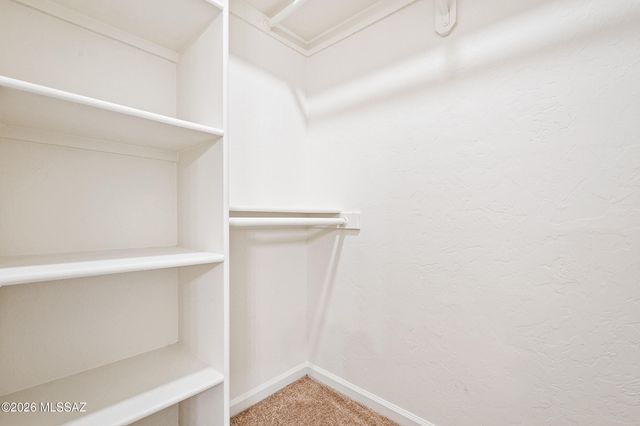 3032 N Palomino Park Loop, Tucson, AZ 85712