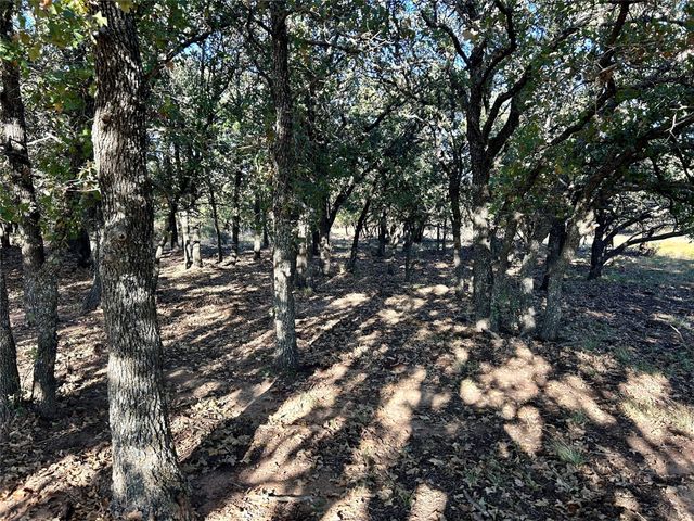 TBD County Road 357, Gorman, TX 76454