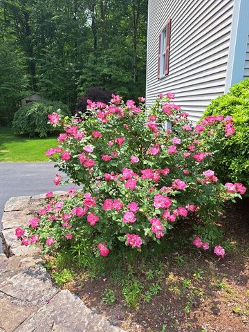 60 Tyler Dr, Uxbridge, MA 01569