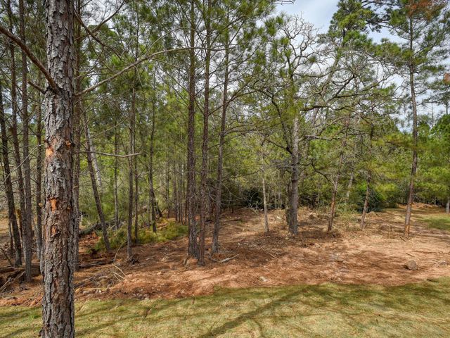 110 Mamalu, Bastrop, TX 78602