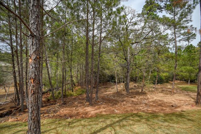 110 Mamalu, Bastrop, TX 78602