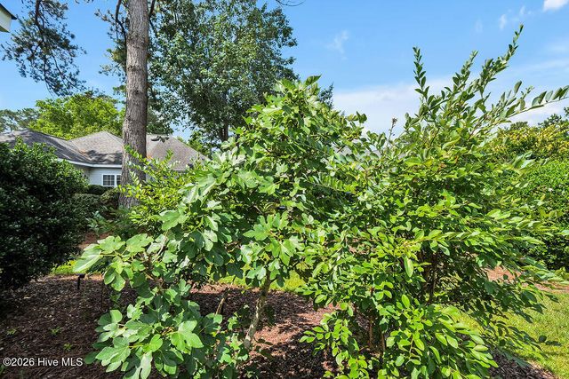 8879 Nottoway Avenue NW, Calabash, NC 28467