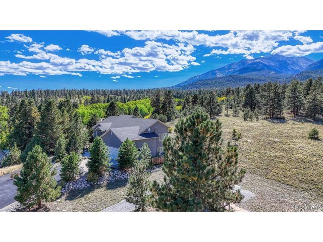 14701 County Road 261c, Nathrop, CO 81236