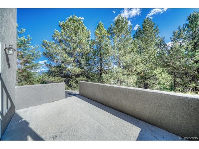 14701 County Road 261c, Nathrop, CO 81236