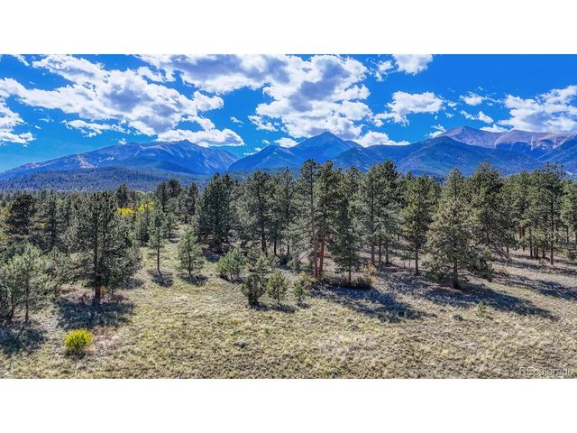 14701 County Road 261c, Nathrop, CO 81236