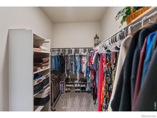 5903 Piney Creek Drive, Fort Collins, CO 80528