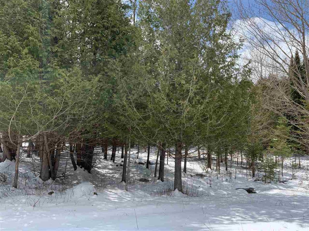 Lot 19 KEEGAN COURT, Wittenberg, WI 54499