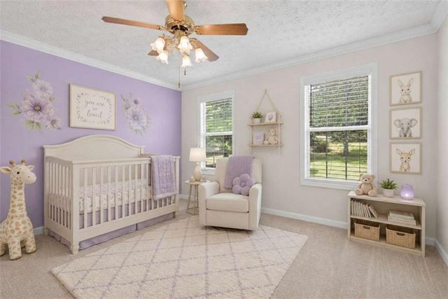 23 Will Clark Road, Jefferson, GA 30549