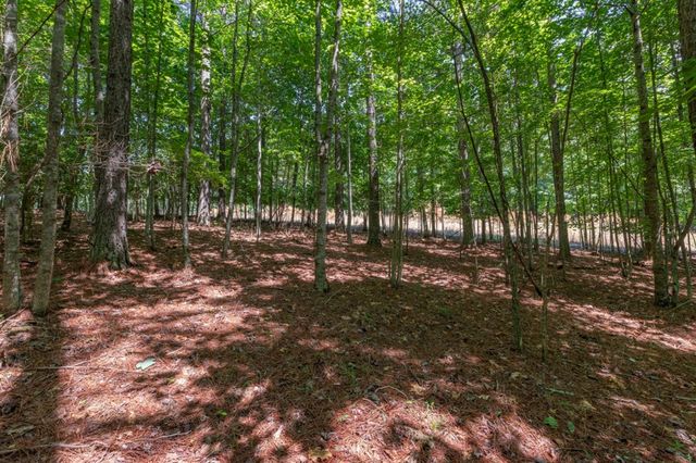 Lot 48 Thirteen Hundred, Blairsville, GA 30512