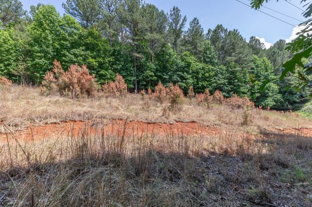 Lot 48 Thirteen Hundred, Blairsville, GA 30512