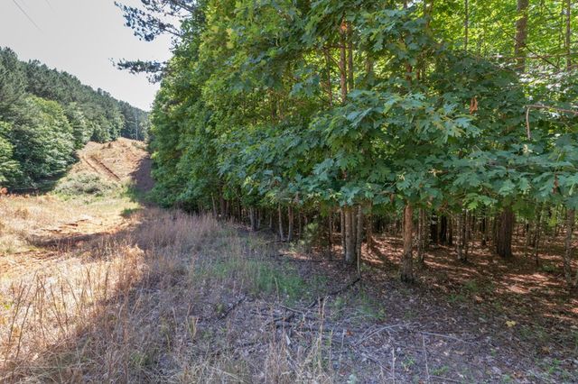 Lot 48 Thirteen Hundred, Blairsville, GA 30512