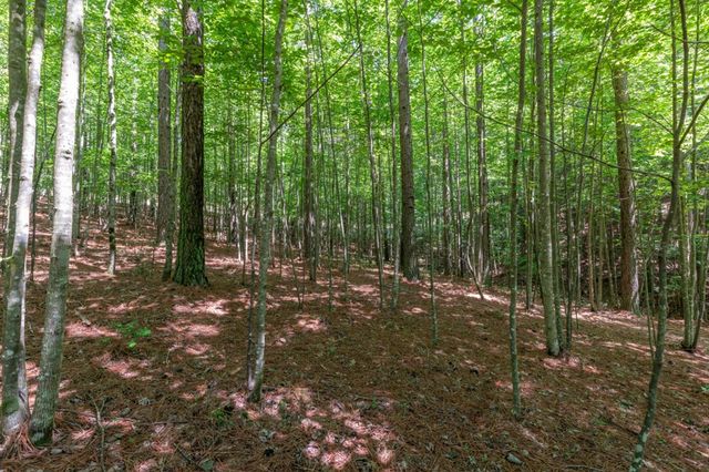 Lot 48 Thirteen Hundred, Blairsville, GA 30512