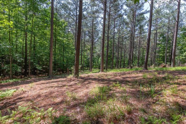 Lot 48 Thirteen Hundred, Blairsville, GA 30512