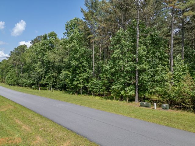 Lot 48 Thirteen Hundred, Blairsville, GA 30512