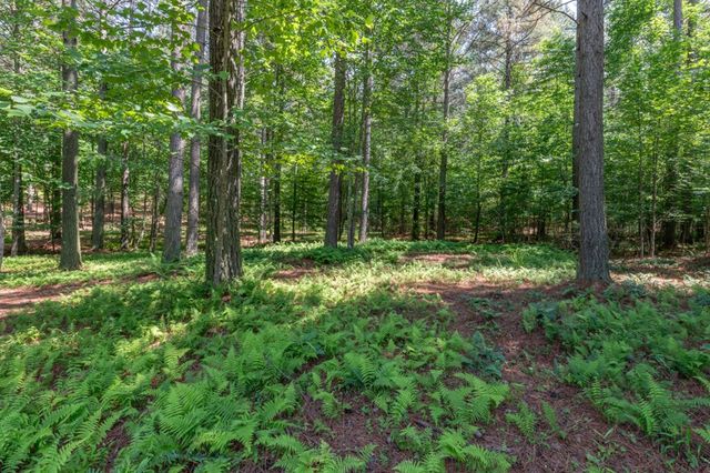 Lot 48 Thirteen Hundred, Blairsville, GA 30512