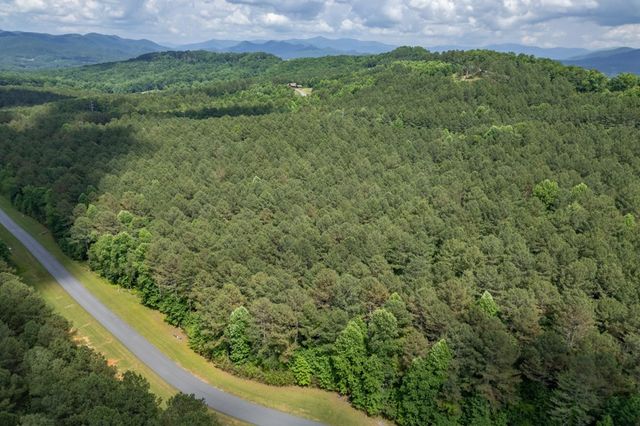 Lot 48 Thirteen Hundred, Blairsville, GA 30512