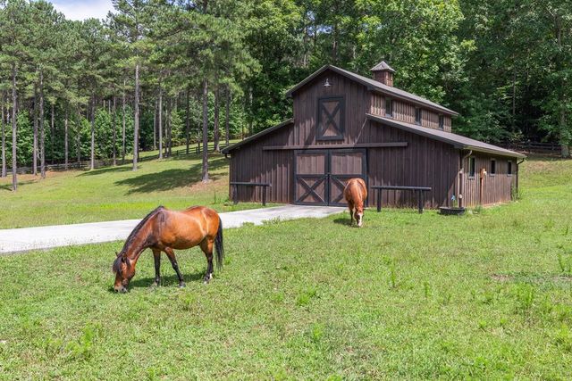 Lot 48 Thirteen Hundred, Blairsville, GA 30512