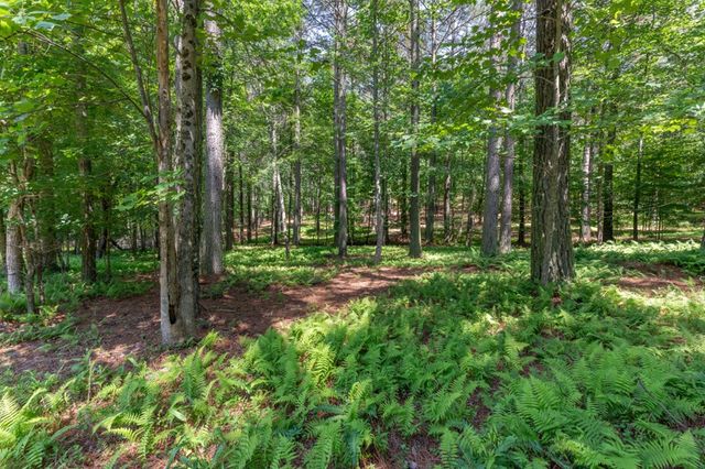 Lot 48 Thirteen Hundred, Blairsville, GA 30512