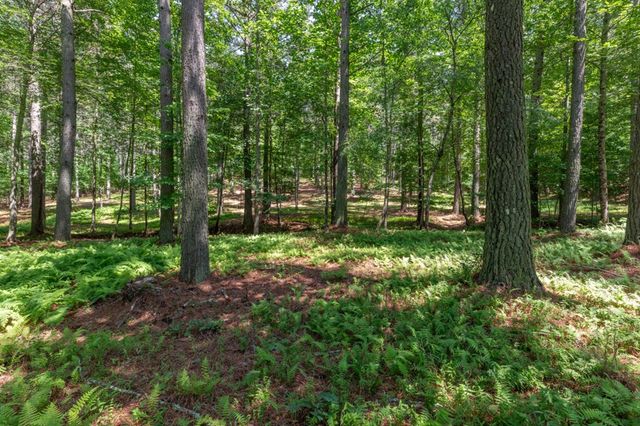 Lot 48 Thirteen Hundred, Blairsville, GA 30512