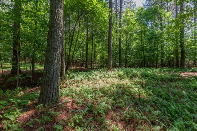 Lot 48 Thirteen Hundred, Blairsville, GA 30512