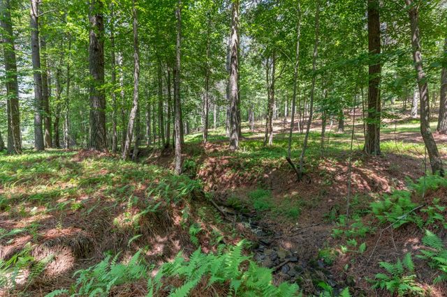 Lot 48 Thirteen Hundred, Blairsville, GA 30512