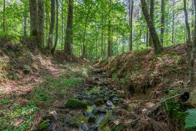 Lot 48 Thirteen Hundred, Blairsville, GA 30512