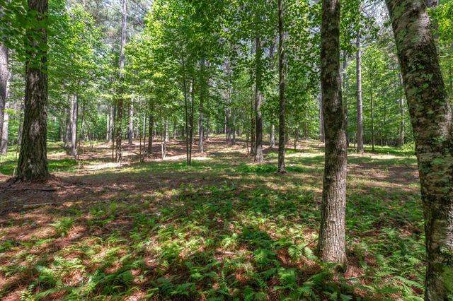 Lot 48 Thirteen Hundred, Blairsville, GA 30512