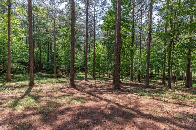 Lot 48 Thirteen Hundred, Blairsville, GA 30512