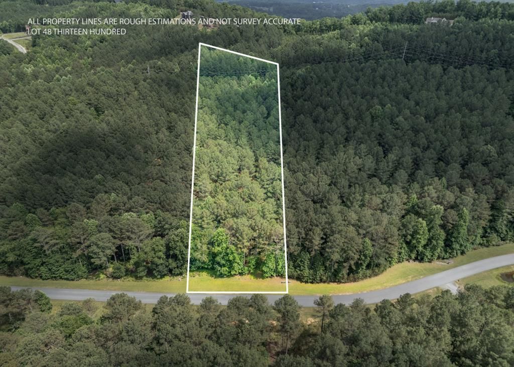 Lot 48 Thirteen Hundred, Blairsville, GA 30512