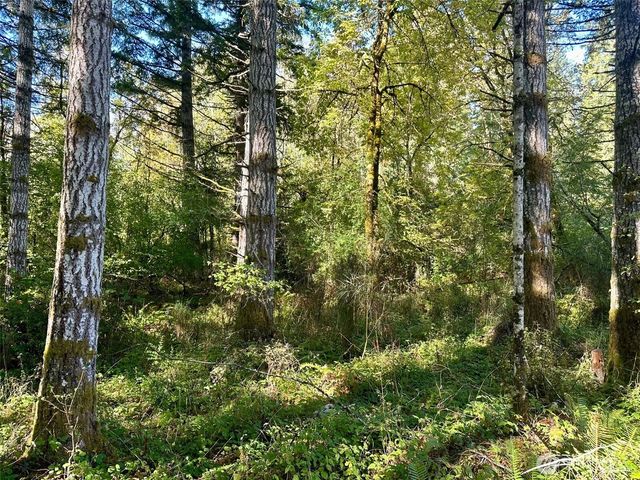 6191 E Pickering Road, Shelton, WA 98584