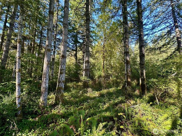 6191 E Pickering Road, Shelton, WA 98584