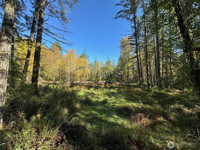 6191 E Pickering Road, Shelton, WA 98584