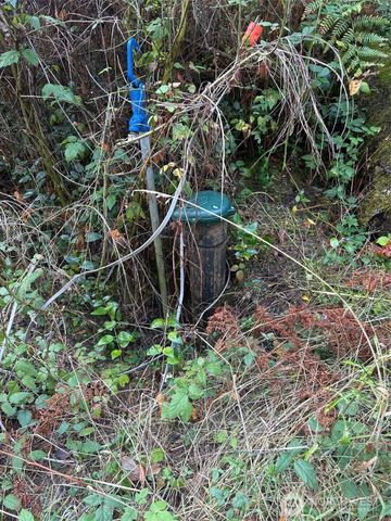 6191 E Pickering Road, Shelton, WA 98584