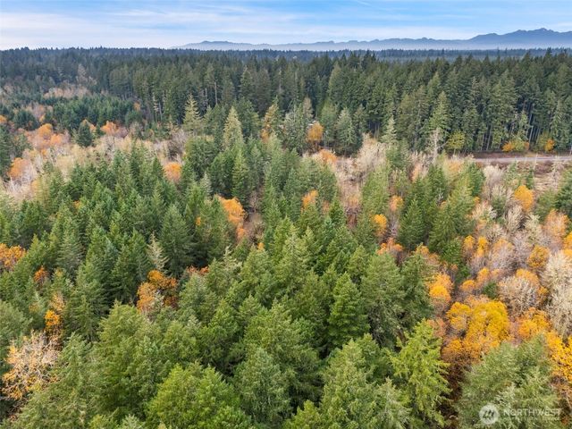 6191 E Pickering Road, Shelton, WA 98584