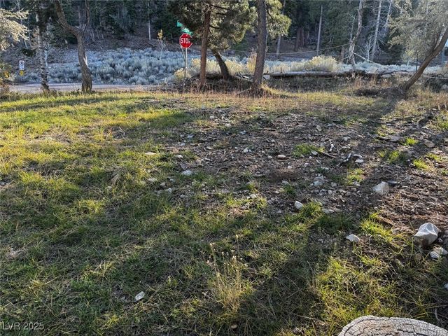 4834 Knotty Pine Way, Mount Charleston, NV 89124