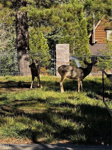 4834 Knotty Pine Way, Mount Charleston, NV 89124