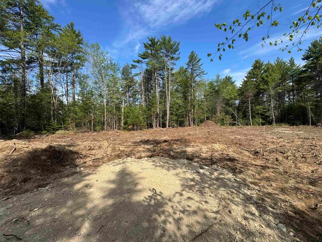 00 Gray Fox Road, Effingham, NH 03882